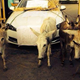 Illustration for article titled This Is What A Donkey-Powered Jaguar XF Looks Like